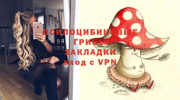 apvp Верхний Тагил