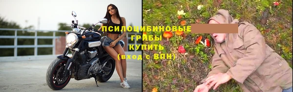 стафф Бронницы