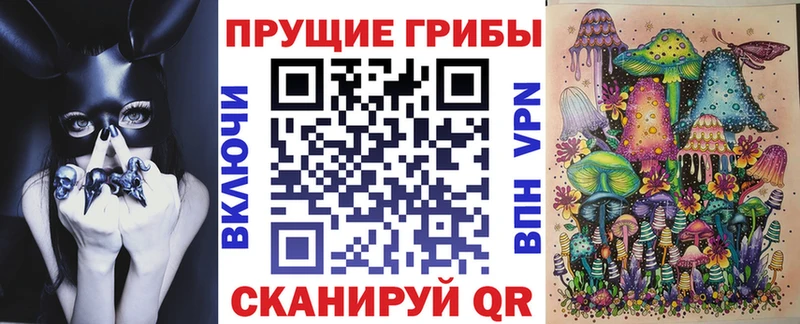 Псилоцибиновые грибы Psilocybe Карталы