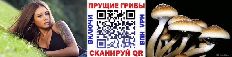 Галлюциногенные грибы Magic Shrooms Карталы